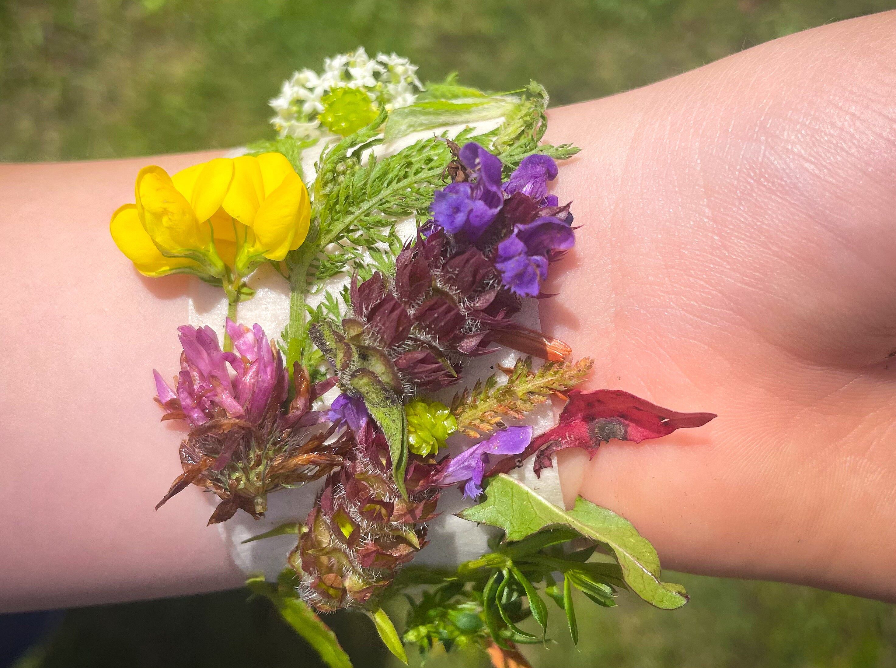 Boah - schau mal! 18.07.2026