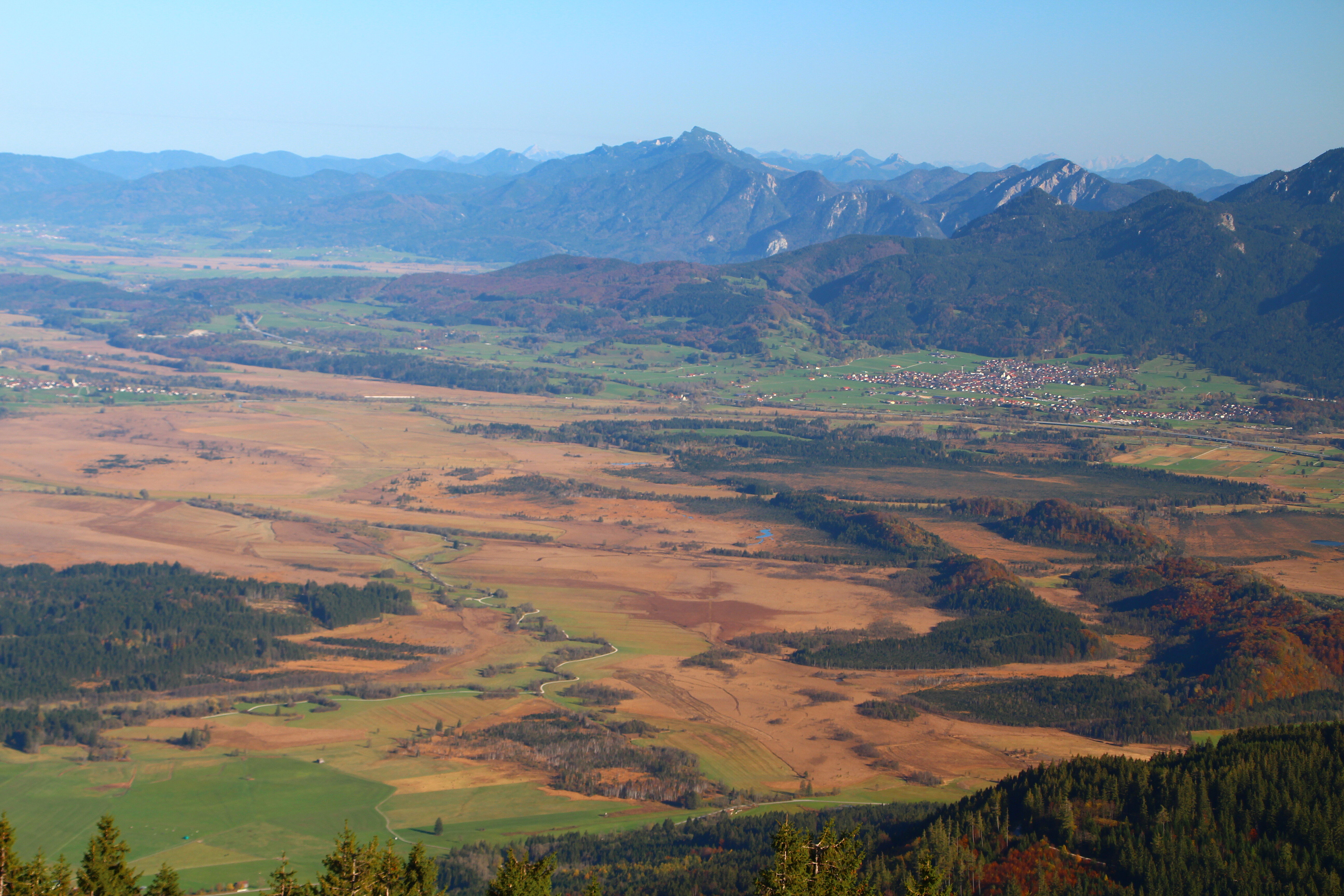Exkursion: Führung am Rande des Murnauer Mooses 20.05.2025