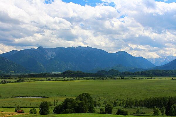 Murnauer Moos mit Blick auf die Berge