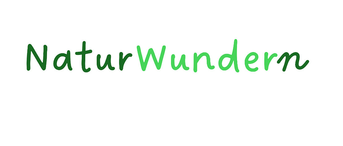 Schriftzug NaturWundern in grün