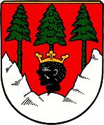 Wappen Mittenwald