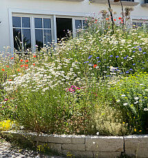 Naturnahe Gärten 2023