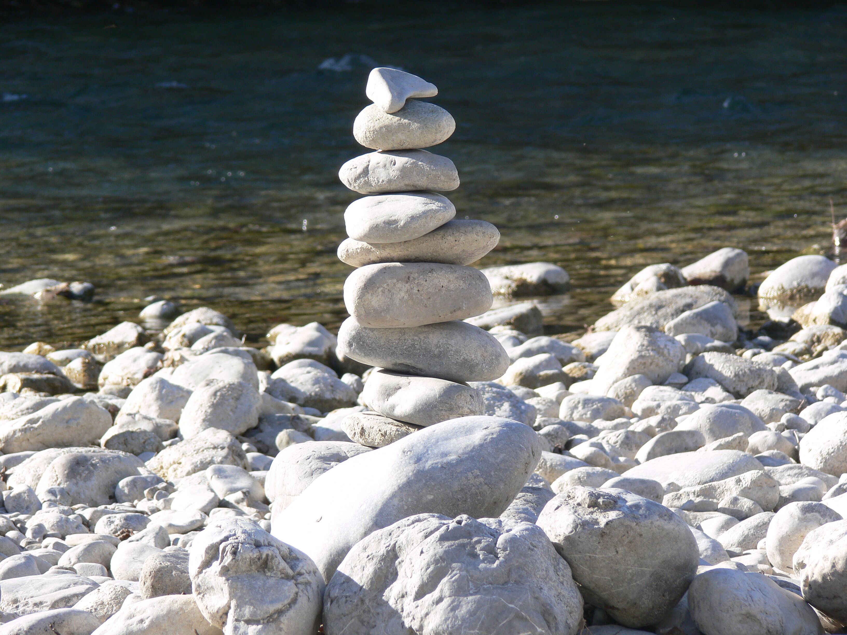 Raus ins Wilde 08.08.2026