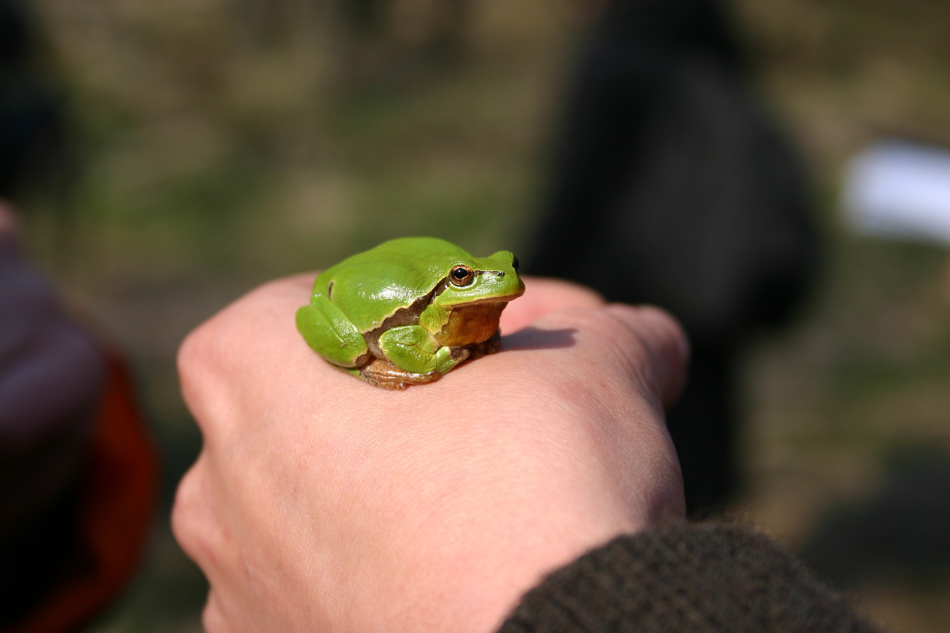 Abenteuer Moor 13.05.2026