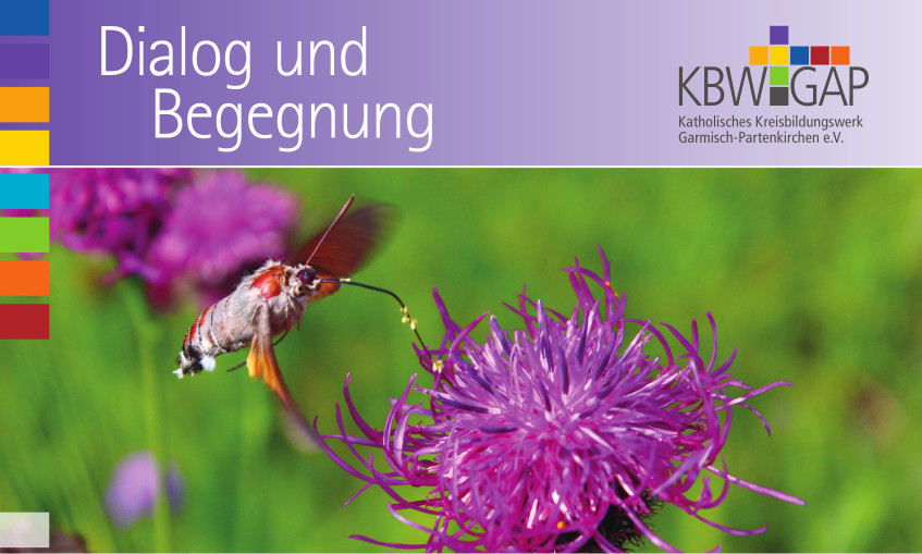 Februar 2024 -August 2024