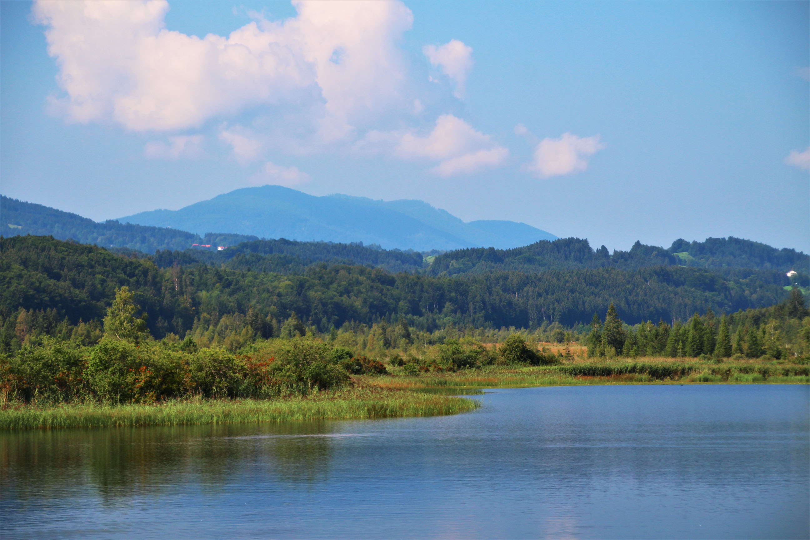 Pilgern durch die Staffelsee-Moore 09.05.2026