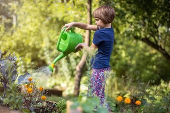 Schöpfungsverantwortung