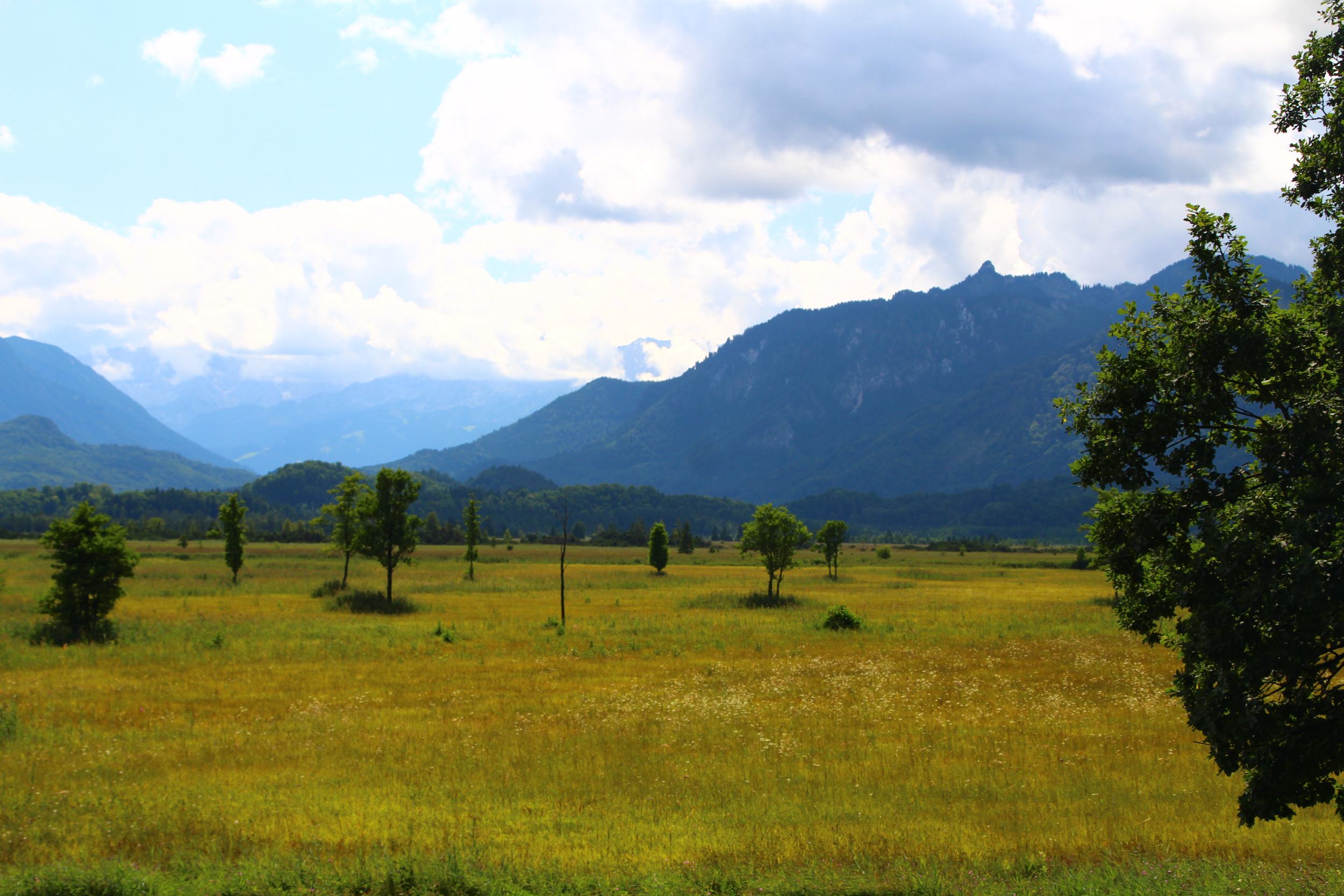 Kleiner Spaziergang mit Prof. Dr. Michael Succow im Murnauer Moos 07.10.2025
