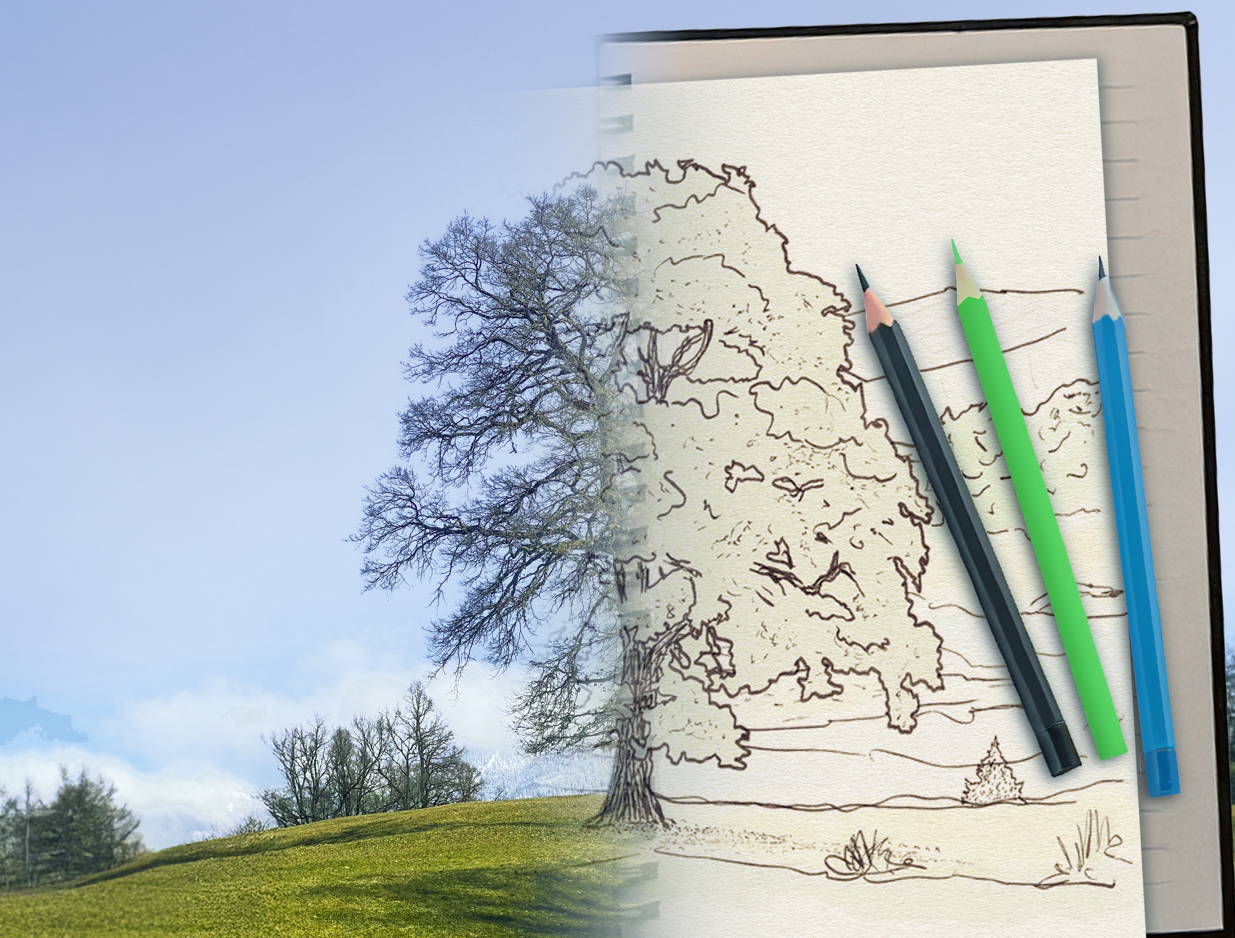 Nature Journaling rund um Ga-Pa 17.06. u 03.07.26